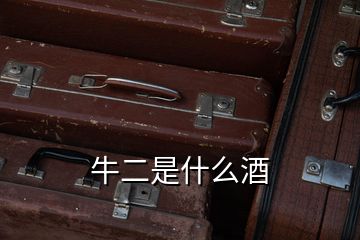牛二是什么酒