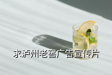 求瀘州老窖廣告宣傳片