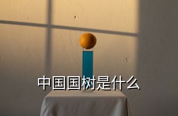 中國(guó)國(guó)樹是什么