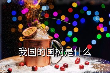我國(guó)的國(guó)樹是什么