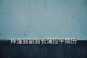梓潼縣副縣長蒲應(yīng)平簡歷