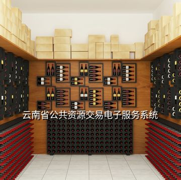 云南省公共資源交易電子服務系統(tǒng)