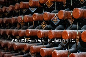 酒瓶子圖標(biāo)有三個袋鼠一座山峰紅酒叫什么