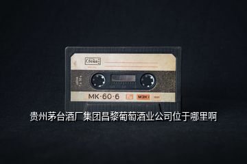 貴州茅臺酒廠集團(tuán)昌黎葡萄酒業(yè)公司位于哪里啊