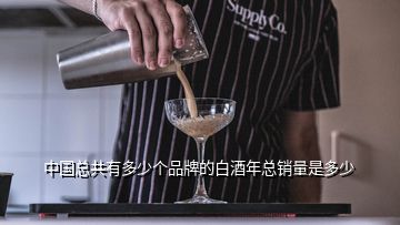 中國(guó)總共有多少個(gè)品牌的白酒年總銷量是多少