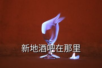 新地酒吧在那里