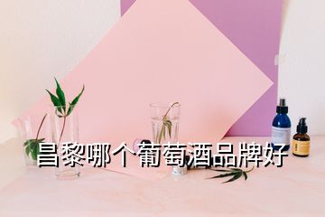 昌黎哪個(gè)葡萄酒品牌好