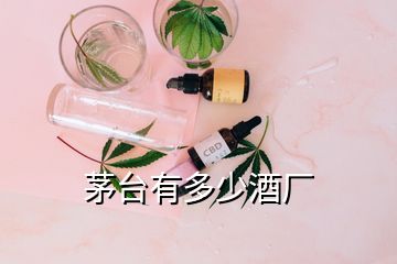茅臺(tái)有多少酒廠(chǎng)