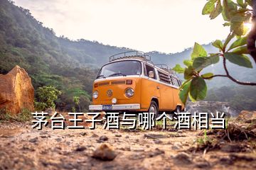 茅臺王子酒與哪個酒相當