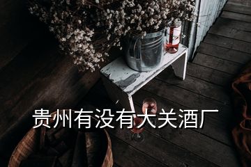 貴州有沒有大關酒廠