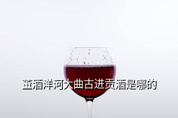 董酒洋河大曲古進貢酒是哪的