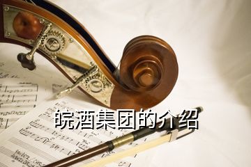 皖酒集團(tuán)的介紹