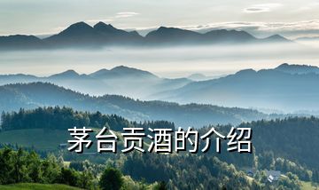 茅臺(tái)貢酒的介紹