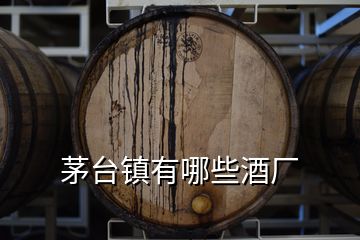 茅臺(tái)鎮(zhèn)有哪些酒廠