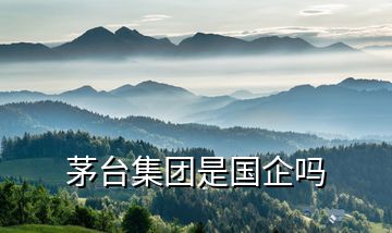 茅臺(tái)集團(tuán)是國(guó)企嗎