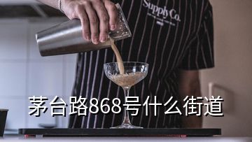 茅臺(tái)路868號(hào)什么街道