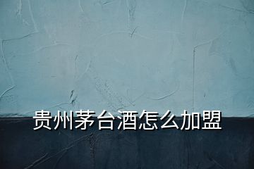 貴州茅臺(tái)酒怎么加盟