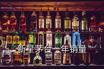 新星茅臺(tái)一年銷量