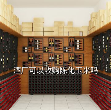 酒廠可以收購(gòu)陳化玉米嗎