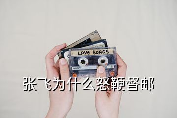 張飛為什么怒鞭督郵