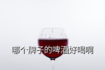 哪個(gè)牌子的啤酒好喝啊