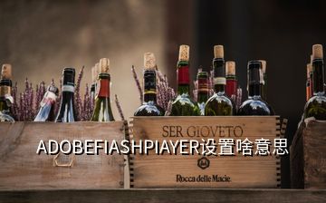 ADOBEFIASHPIAYER設置啥意思