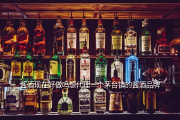 醬酒現(xiàn)在好做嗎想代理一個(gè)茅臺鎮(zhèn)的醬酒品牌