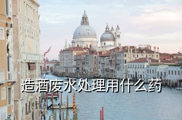 造酒廢水處理用什么藥