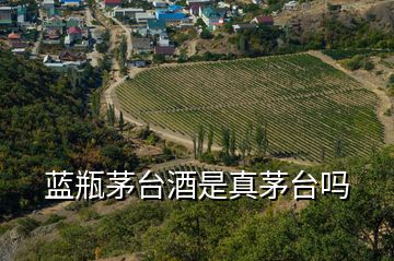 藍(lán)瓶茅臺酒是真茅臺嗎