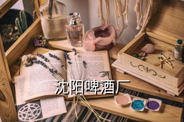 沈陽啤酒廠
