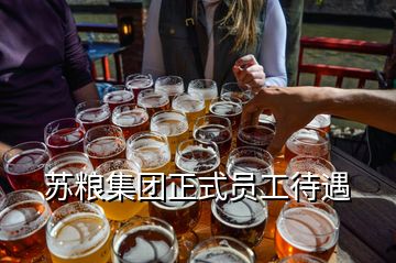 蘇糧集團正式員工待遇