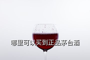 哪里可以買到正品茅臺酒