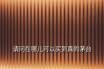 請(qǐng)問在哪兒可以買到真的茅臺(tái)