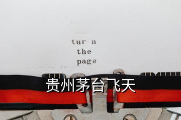 貴州茅臺(tái)飛天