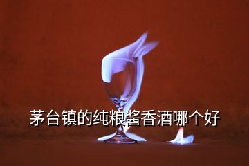 茅臺鎮(zhèn)的純糧醬香酒哪個(gè)好
