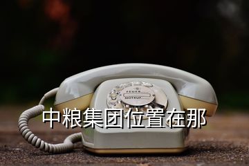 中糧集團(tuán)位置在那