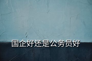 國企好還是公務員好