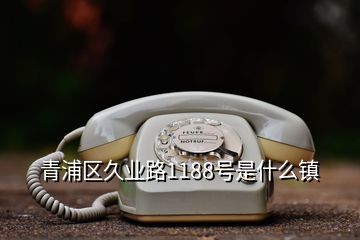 青浦區(qū)久業(yè)路1188號(hào)是什么鎮(zhèn)