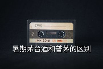 暑期茅臺酒和普茅的區(qū)別