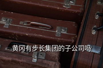 黃岡有步長集團(tuán)的子公司嗎