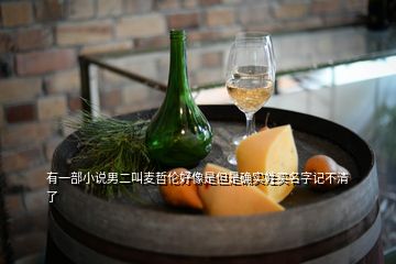 有一部小說男二叫麥哲倫好像是但是確實姓買名字記不清了