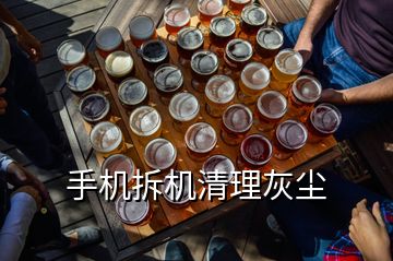 手機(jī)拆機(jī)清理灰塵