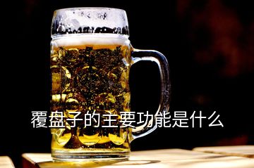 覆盤(pán)子的主要功能是什么