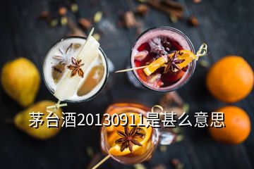 茅臺酒20130911是甚么意思