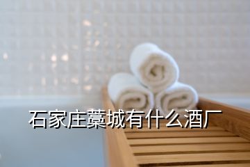 石家莊藁城有什么酒廠(chǎng)