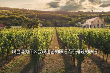 喝白酒為什么會(huì)喝出苦的味道而不是辣的味道