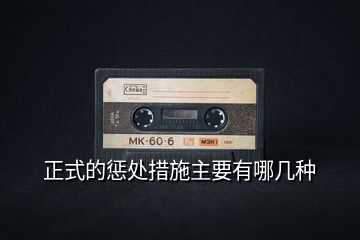 正式的懲處措施主要有哪幾種