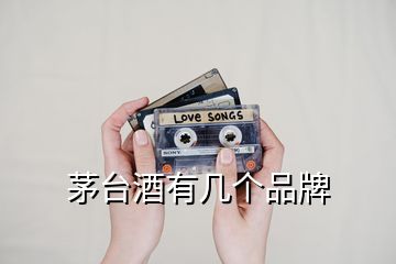 茅臺酒有幾個(gè)品牌