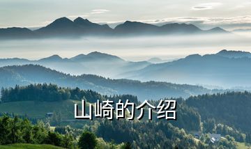 山崎的介紹