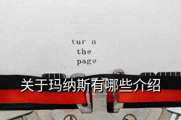 關(guān)于瑪納斯有哪些介紹